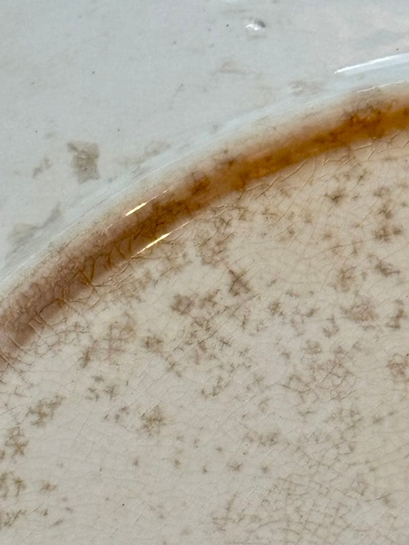 フランスアンティーク サーギュミヌ窯 美しい白いお皿-A 22.5cm