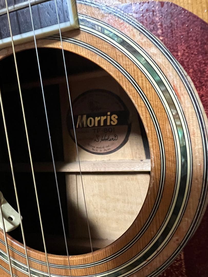 MORRIS TF-801 モーリス　ハラカンダ　3ピース