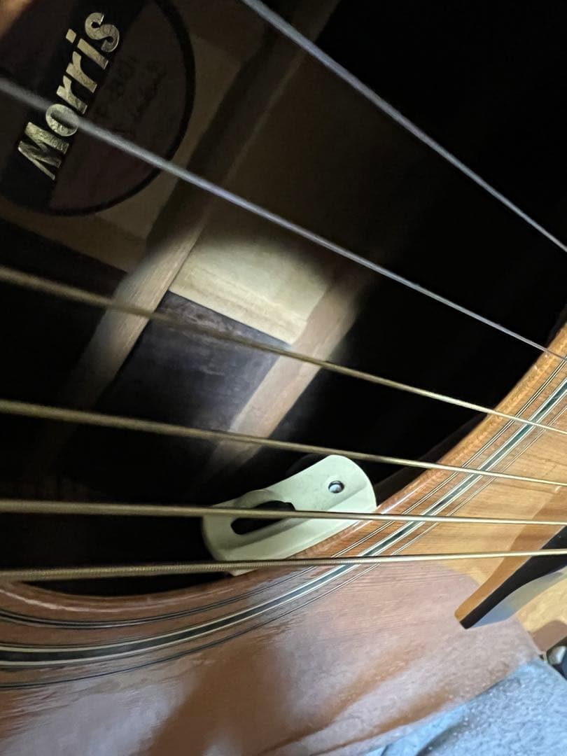 MORRIS TF-801 モーリス　ハラカンダ　3ピース