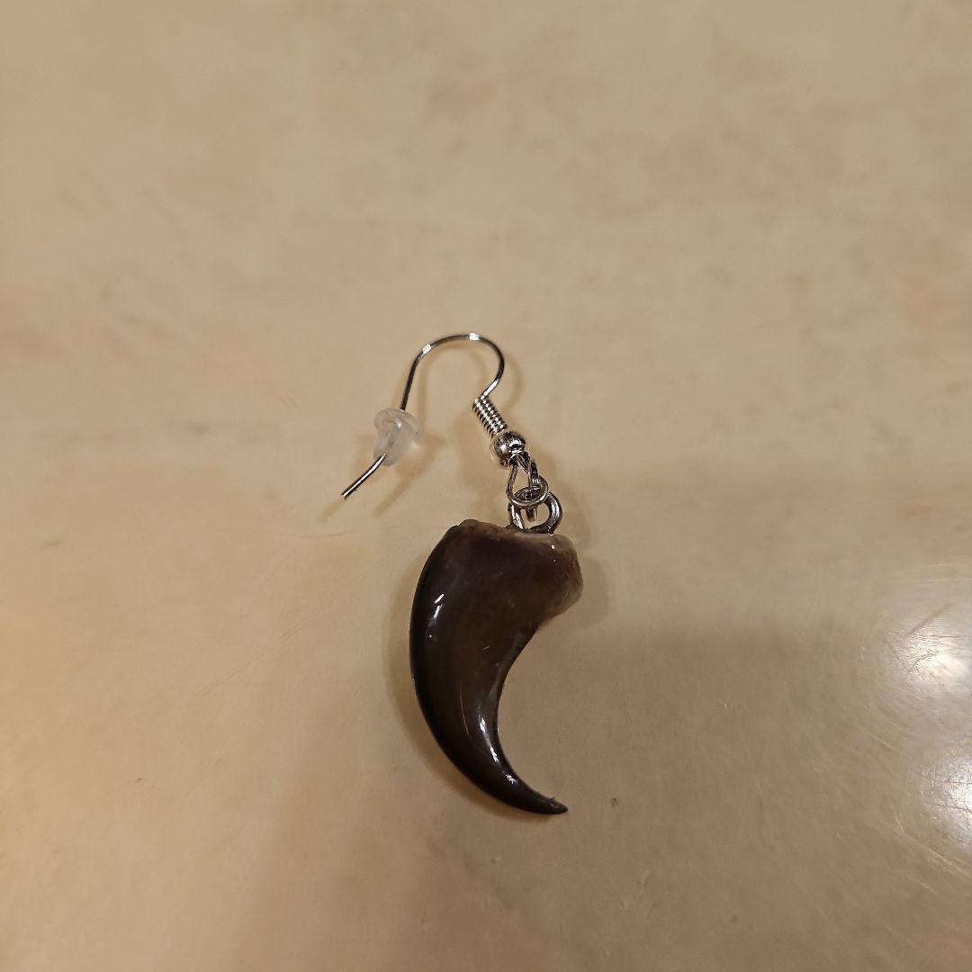 青森県魔除けとも言われる本物の熊の爪 　フックピアス