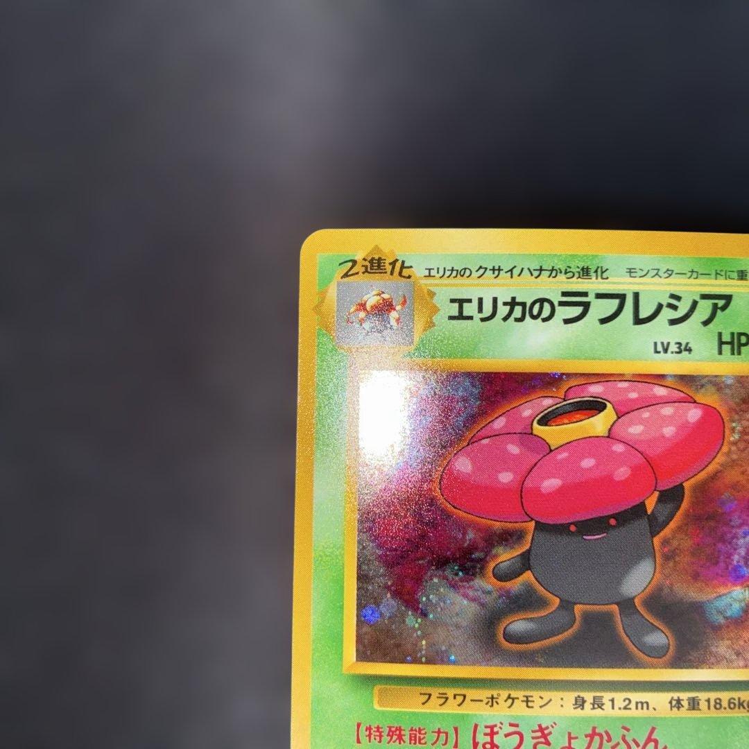 極美品　エリカのラフレシア　旧裏面　キラ