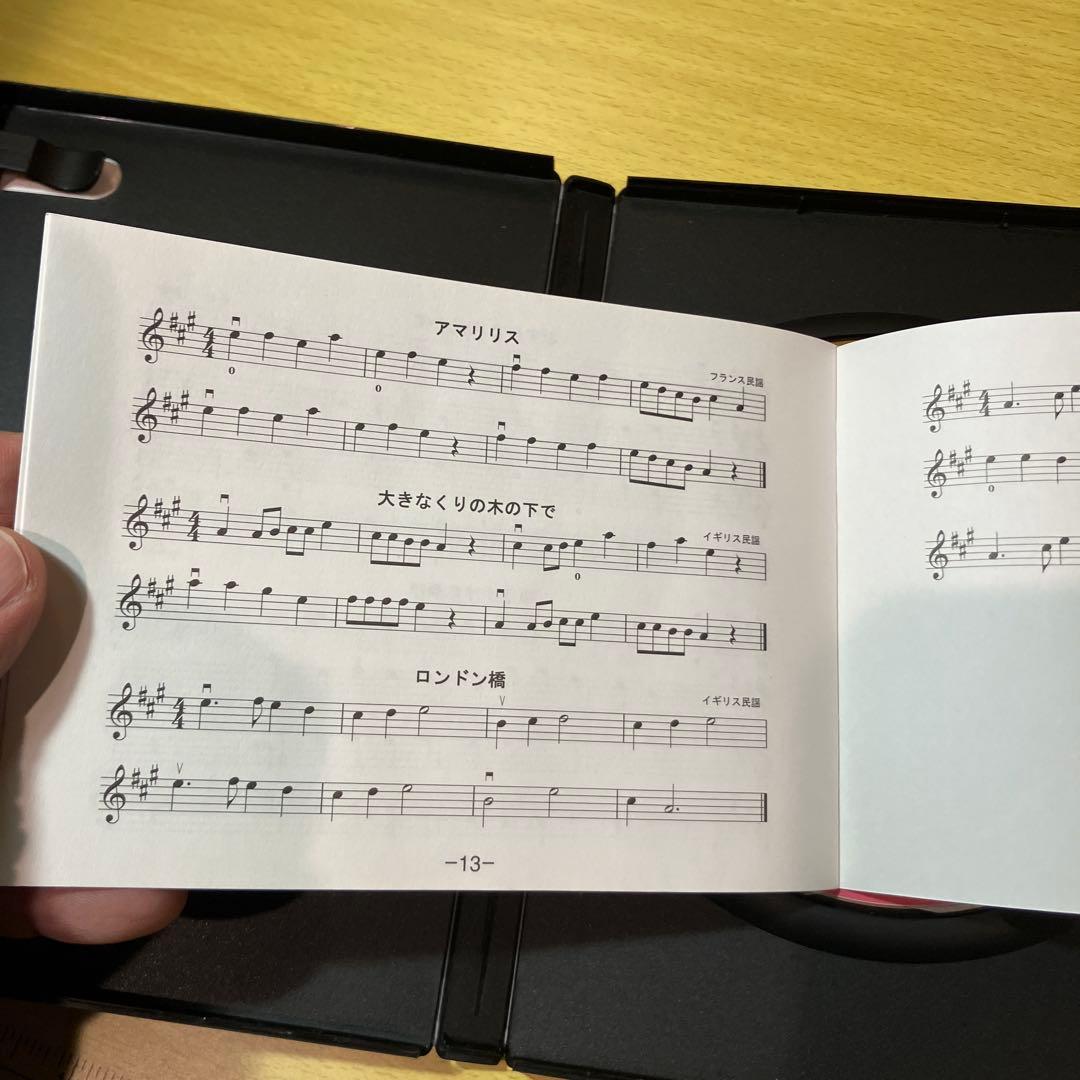 美品 ハルシュタットバイオリン 4/4サイズNo.V-12 DVD付き