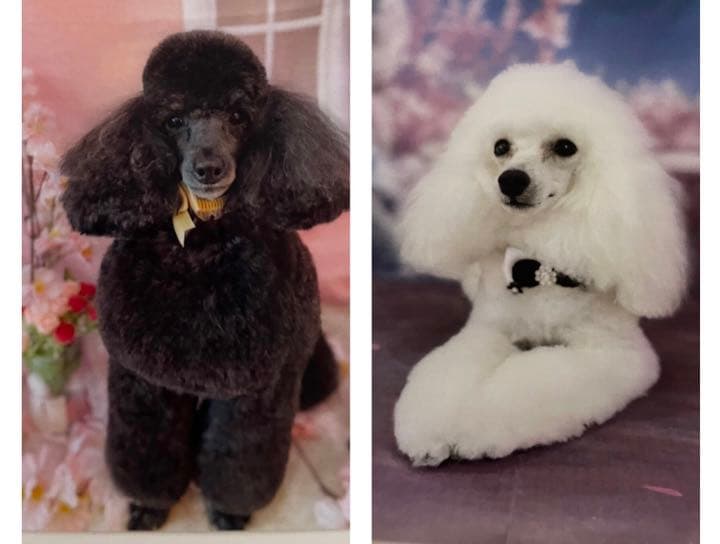 トールペイント＊オーダー専用＊