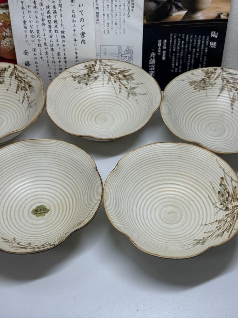 【新品未使用レア】斉藤 雲楽 雲楽窯 清水焼 小鉢5客