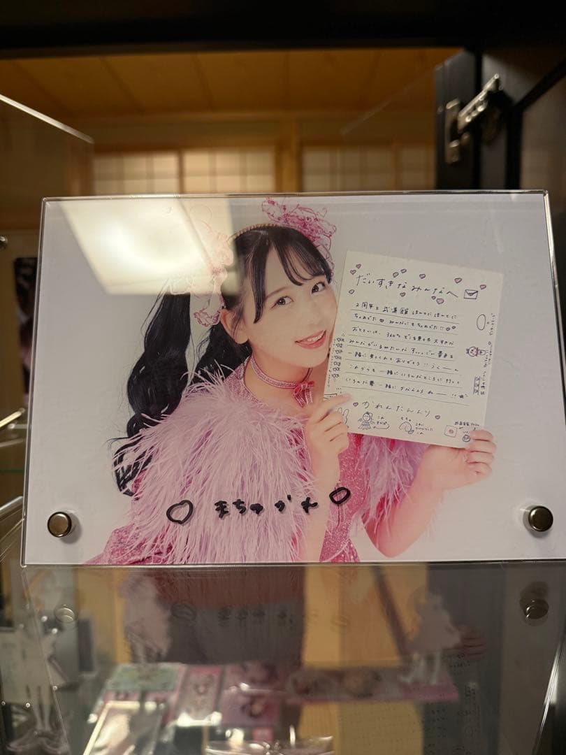 FRUITS ZIPPER 松本かれん　グッズまとめ売り