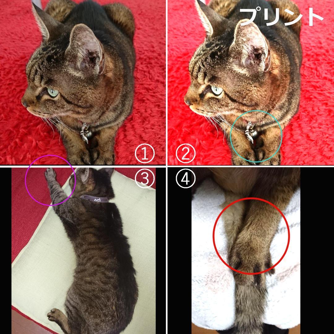 羊毛フェルト　Lufyさま　ハンドメイド　オーダー