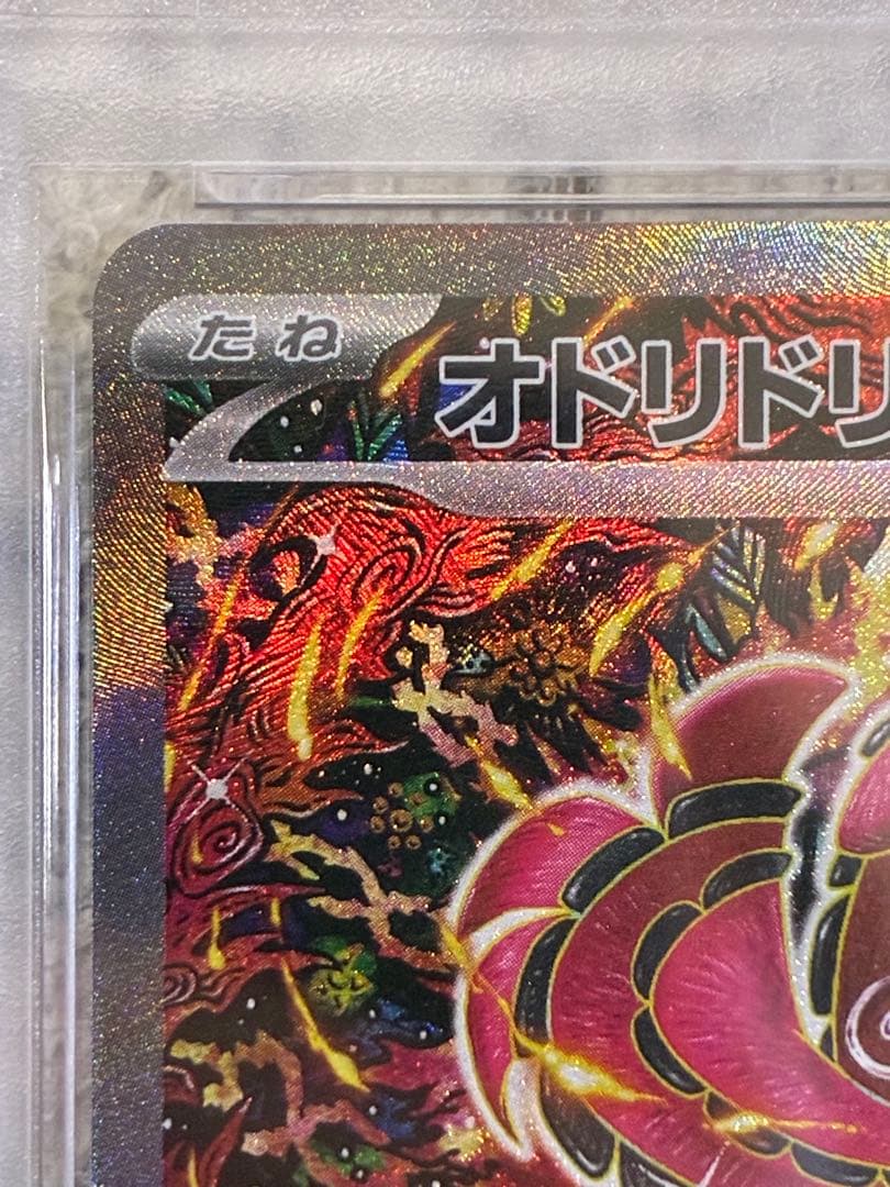 ポケモンカード　オドリドリex SAR PSA10