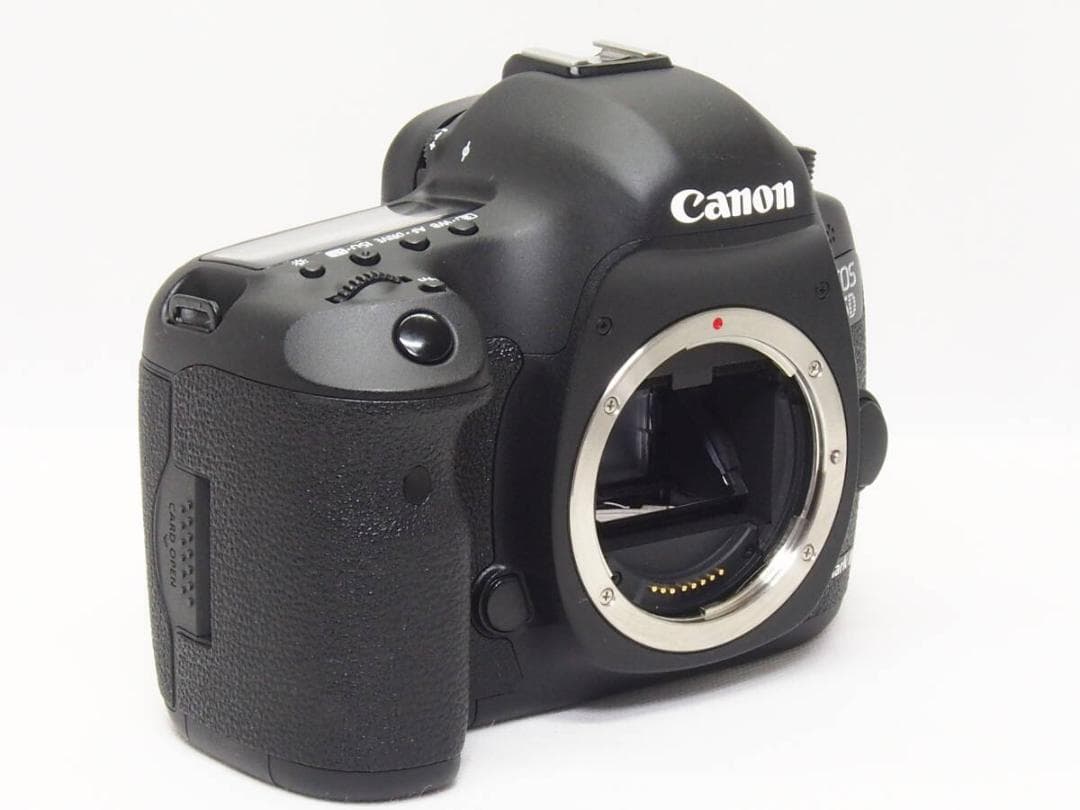 ■S数3431回■ Canon EOS 5D Mark III 《 使用感極少