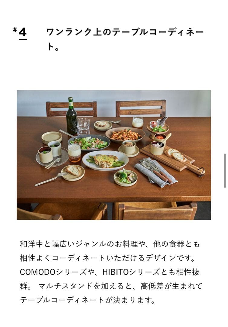 【2枚セット】ACTUS ALL IN ONE オーバルプレート 2枚セット