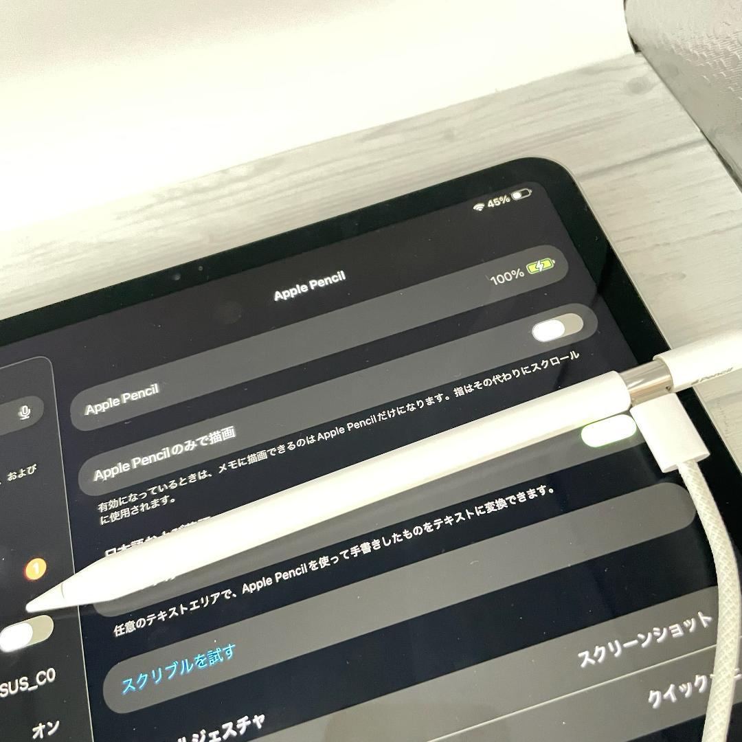 保証あり【ほぼ未使用】Apple Pencil USB-Cタイプ 替え芯セット
