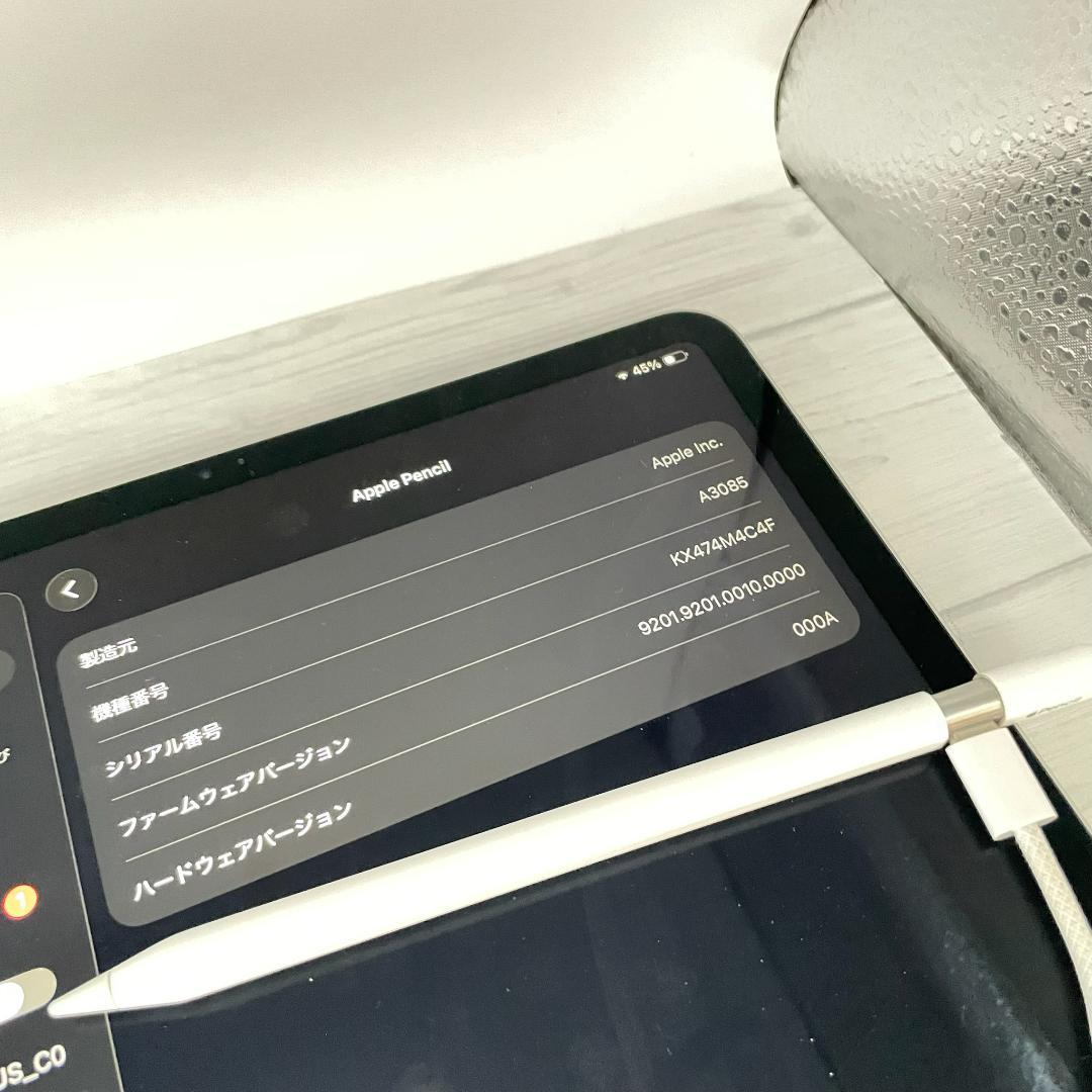 保証あり【ほぼ未使用】Apple Pencil USB-Cタイプ 替え芯セット