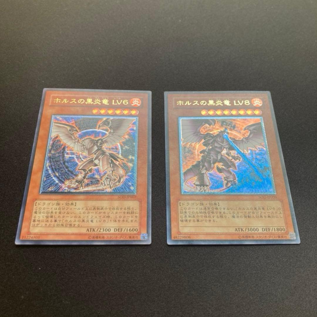 た*き様 遊戯王 ホルスの黒炎竜 LV6・LV8 レリーフ セット