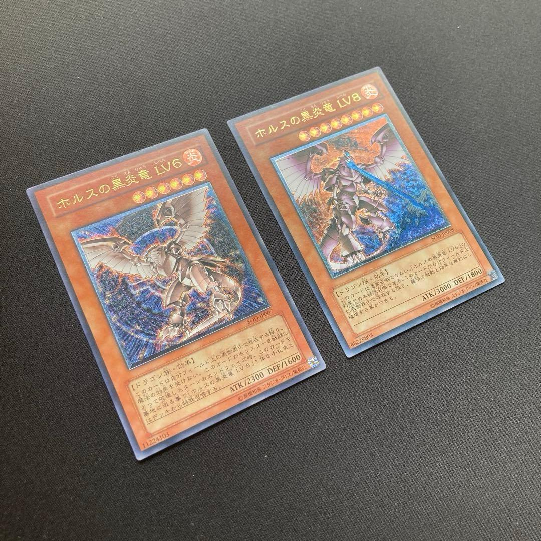 た*き様 遊戯王 ホルスの黒炎竜 LV6・LV8 レリーフ セット
