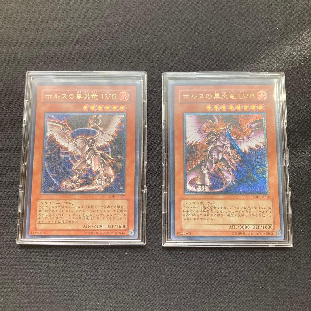 た*き様 遊戯王 ホルスの黒炎竜 LV6・LV8 レリーフ セット