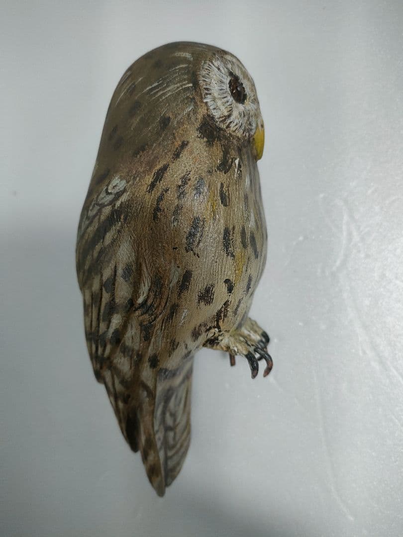 フクロウ　バードカービング