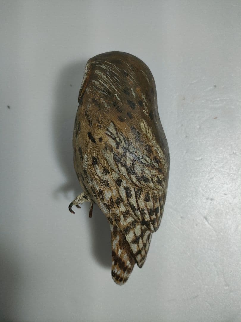 フクロウ　バードカービング