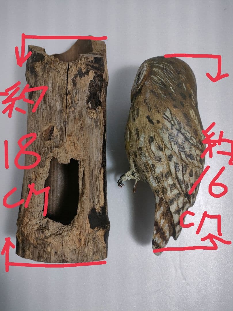 フクロウ　バードカービング