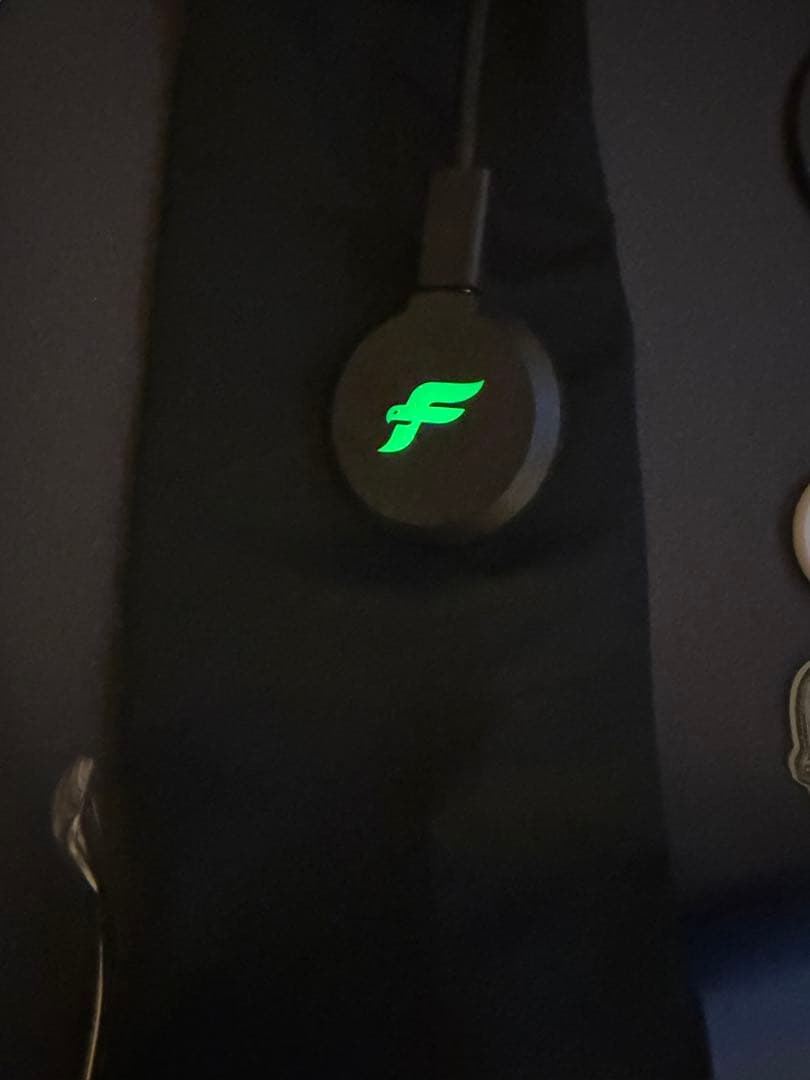 Finalmouse UltralightX Tiger (L)サイズ