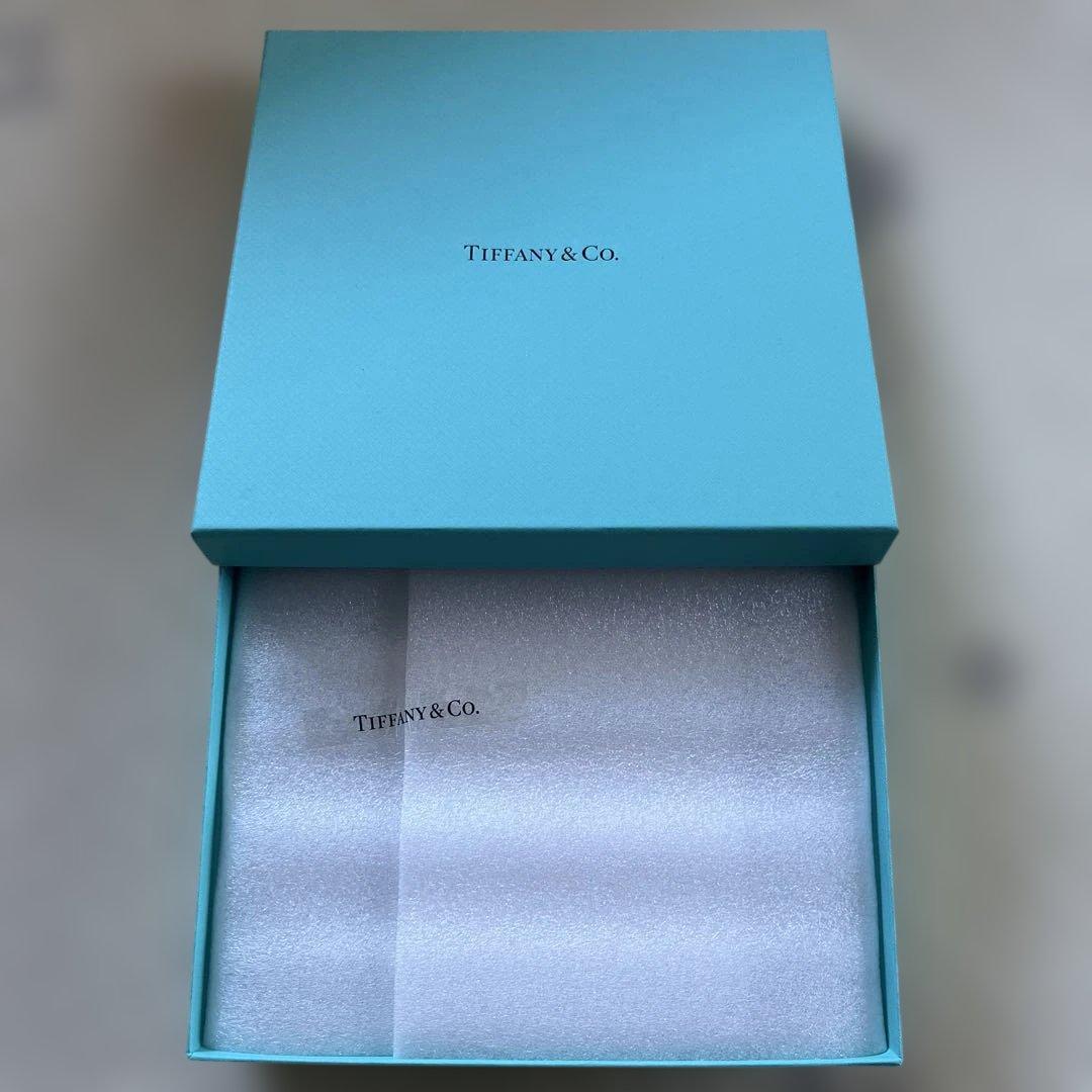 Tiffany &Co. プレート　ノーツ　ペア2枚セット　箱付き