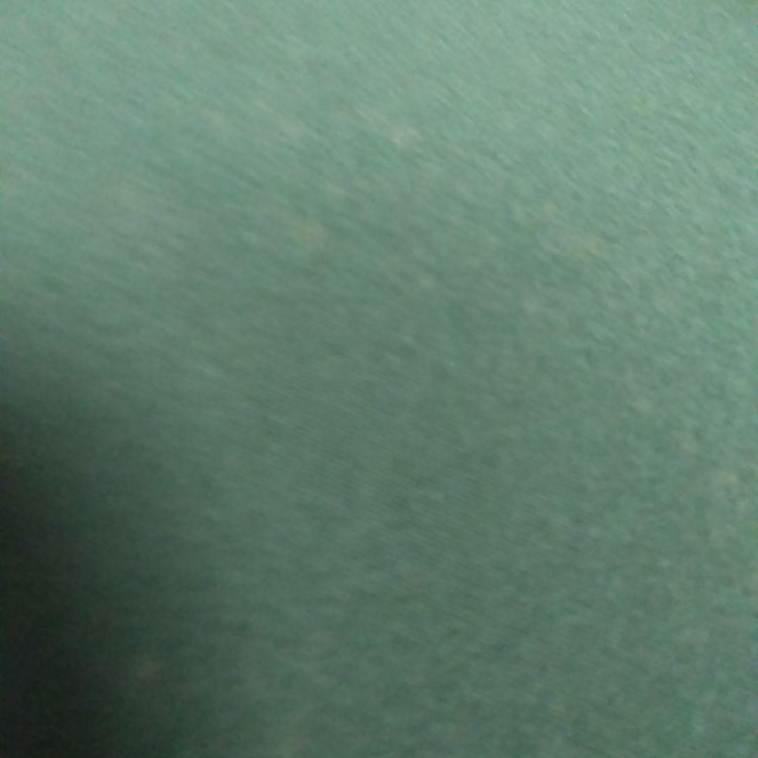 お茶席？小座布団　正絹座布団　更紗模様　5客セット