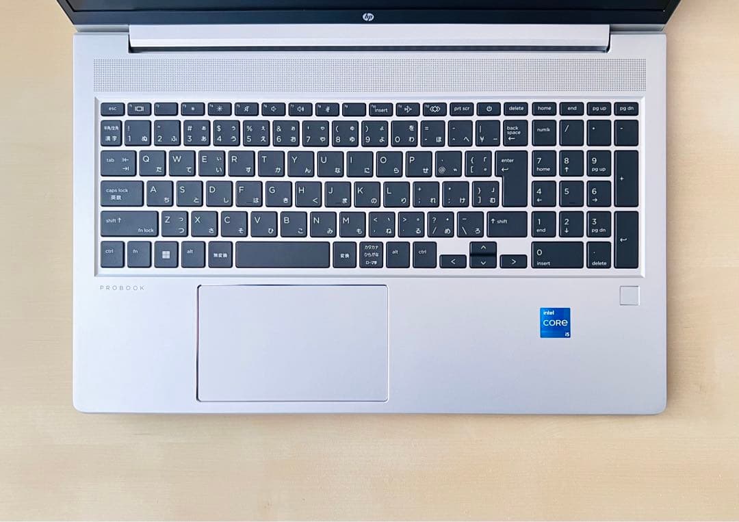累積24H HP ProBook 450 G10/i5/16GB/BT100%