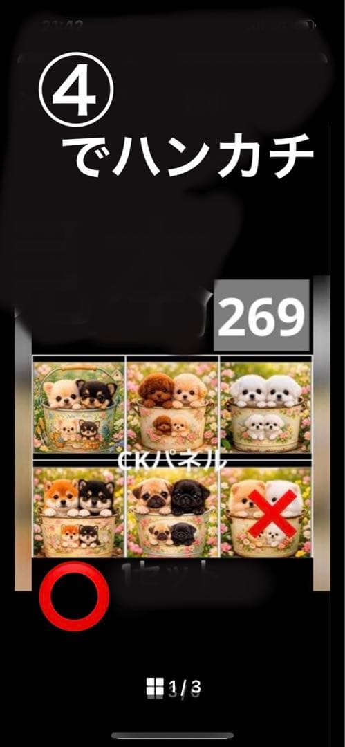 ハンドメイド　クロム様確認用