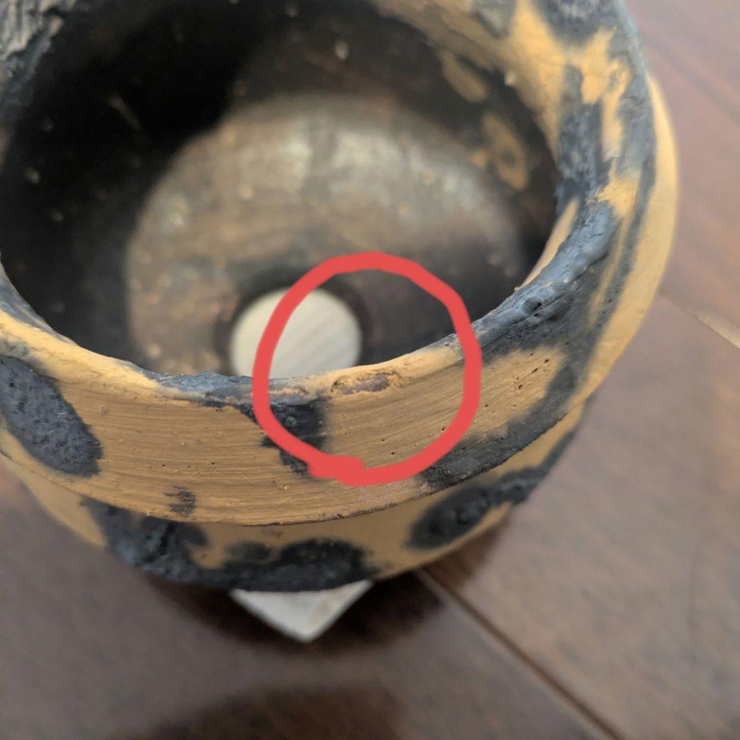 姫野翔太さん 植物鉢 作家鉢　ピカチュウ鉢