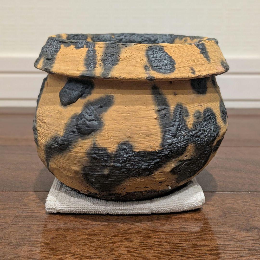 姫野翔太さん 植物鉢 作家鉢　ピカチュウ鉢