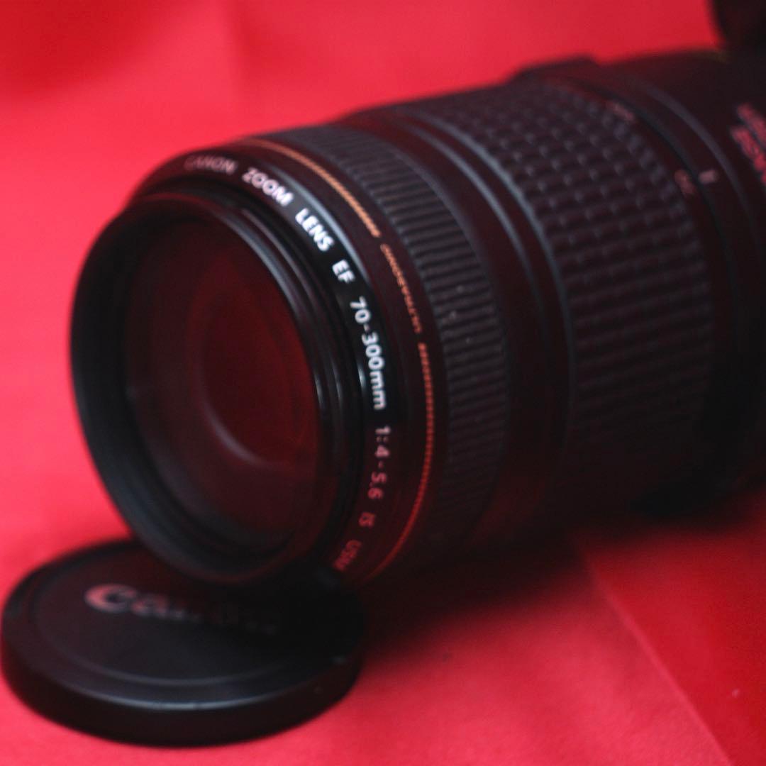 k*8様 Canon 70-300mm usm 人気レンズ　売り切れ注意