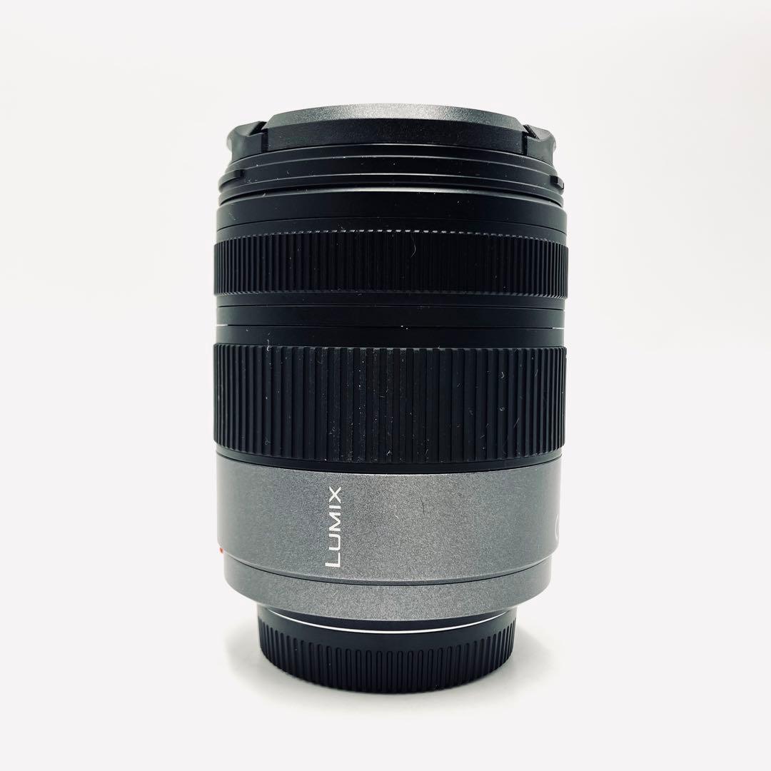 レンズ(ズーム) Panasonic Lumix H-VS014140 14-140mm