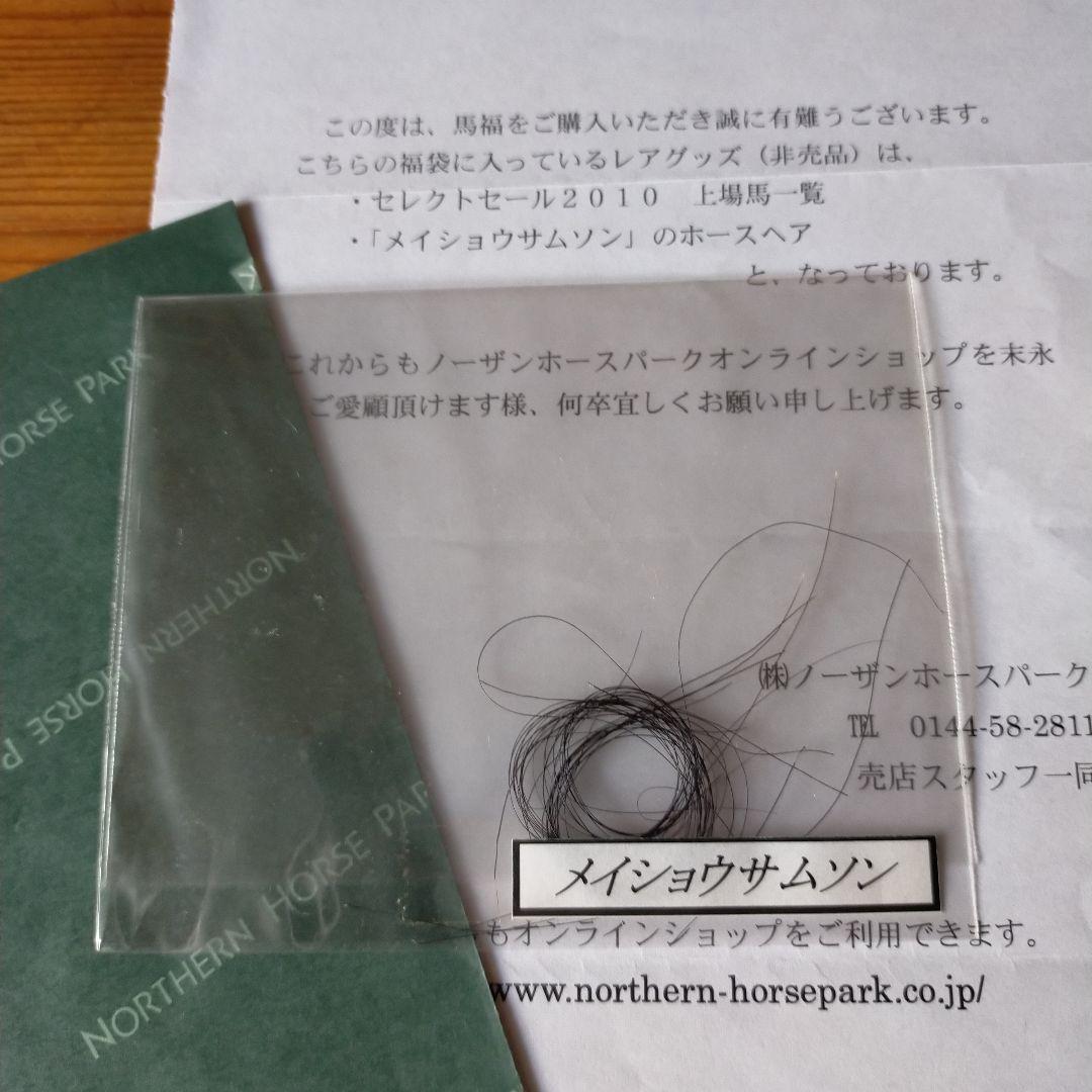 ☆メイショウサムソン☆ホースヘア
