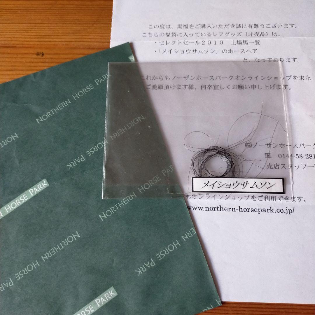 ☆メイショウサムソン☆ホースヘア