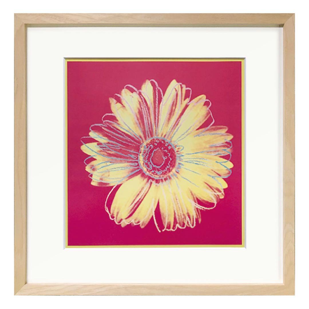 [希少]アンディウォーホル　ローゼンタール　スタジオラインプレート　デイジー