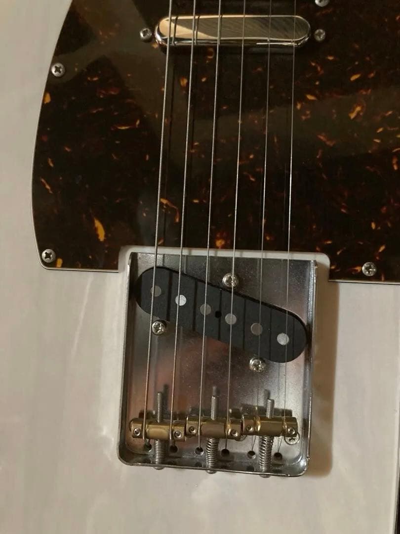【美品】Fujigen NTL10RAH