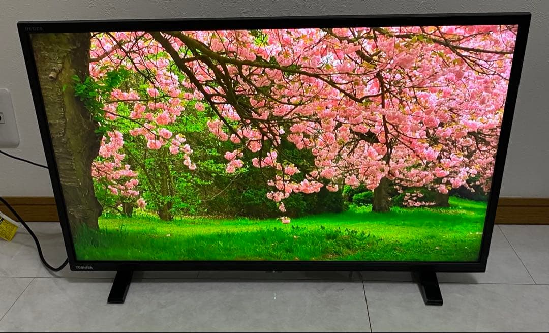 送料込み　東芝　REGZA 32S24 32V型　液晶テレビ2023年製