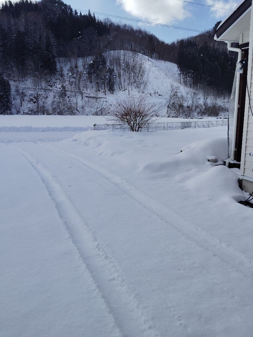 1686 迫力の14ミリレッドドラゴンアゲート