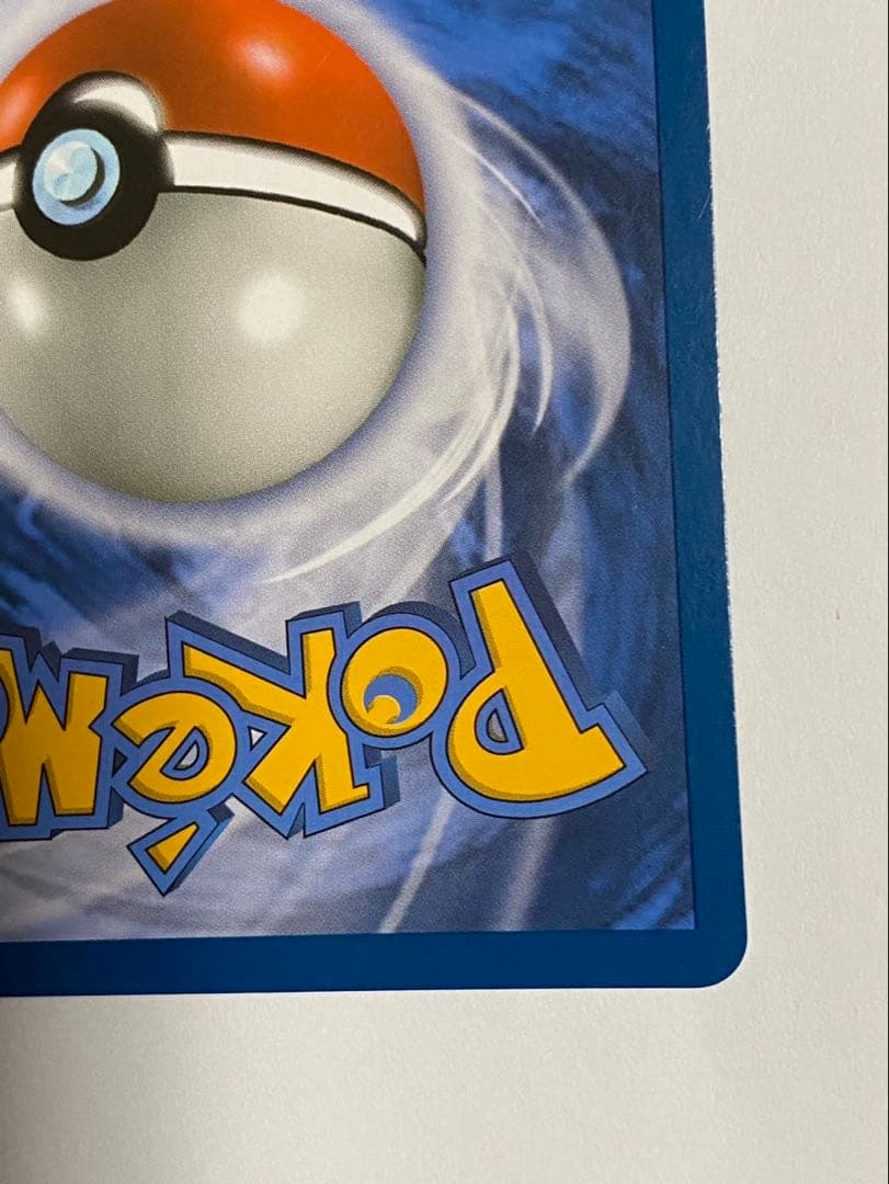 ミモザ　SAR ポルトガル語　正規品