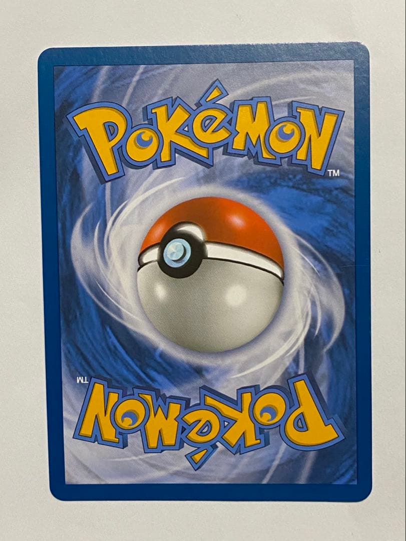 ミモザ　SAR ポルトガル語　正規品