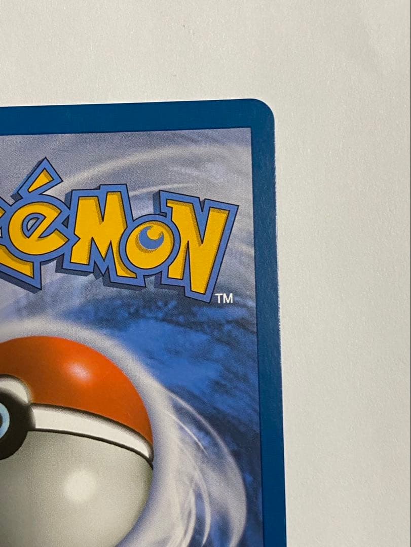 ミモザ　SAR ポルトガル語　正規品