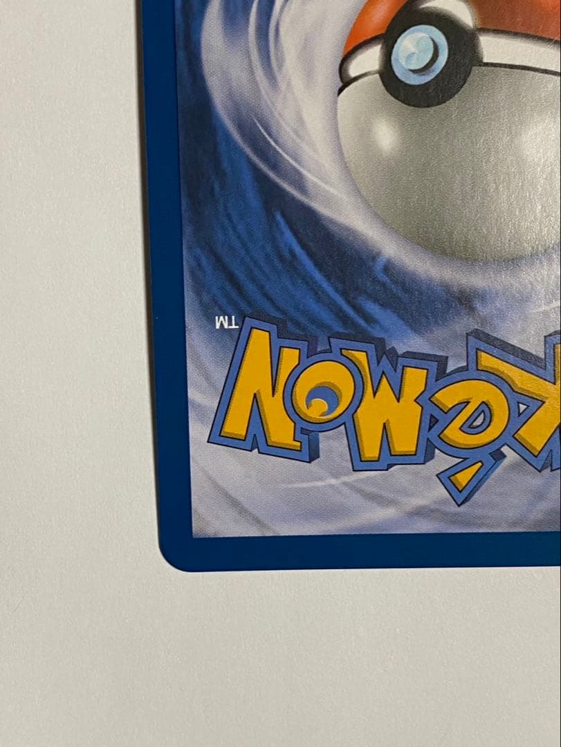 ミモザ　SAR ポルトガル語　正規品