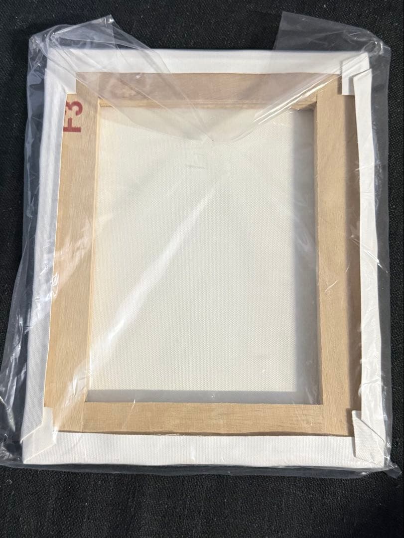 だがしかし 枝垂ほたる 描き下ろしF3キャンバスアート RE:SHAZAM