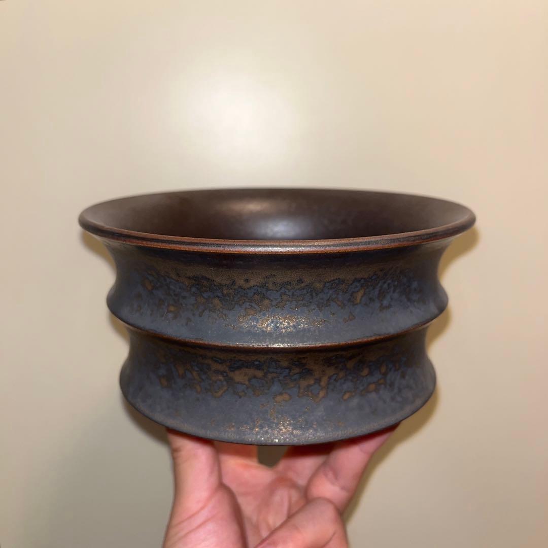 XL SIZE 作家鉢 アガベ グラキリス チタノタ オテロイ 白鯨 姫巌竜