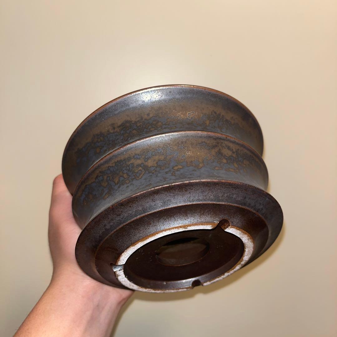 XL SIZE 作家鉢 アガベ グラキリス チタノタ オテロイ 白鯨 姫巌竜