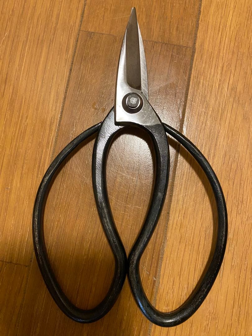 市光　6寸　植木鋏　庭師鋏