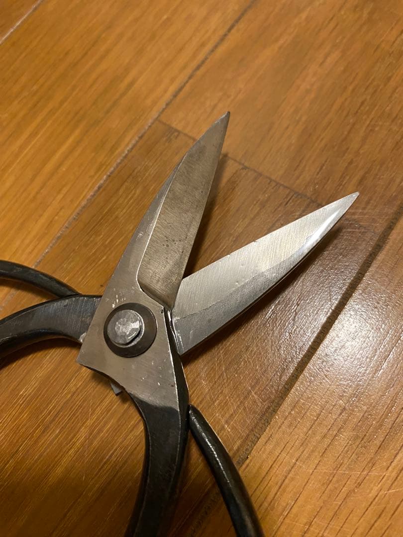 市光　6寸　植木鋏　庭師鋏