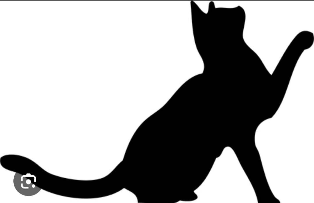 ネコ、犬シルエット　ミニ貝殻