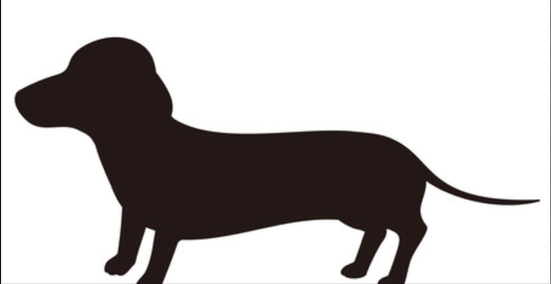 ネコ、犬シルエット　ミニ貝殻
