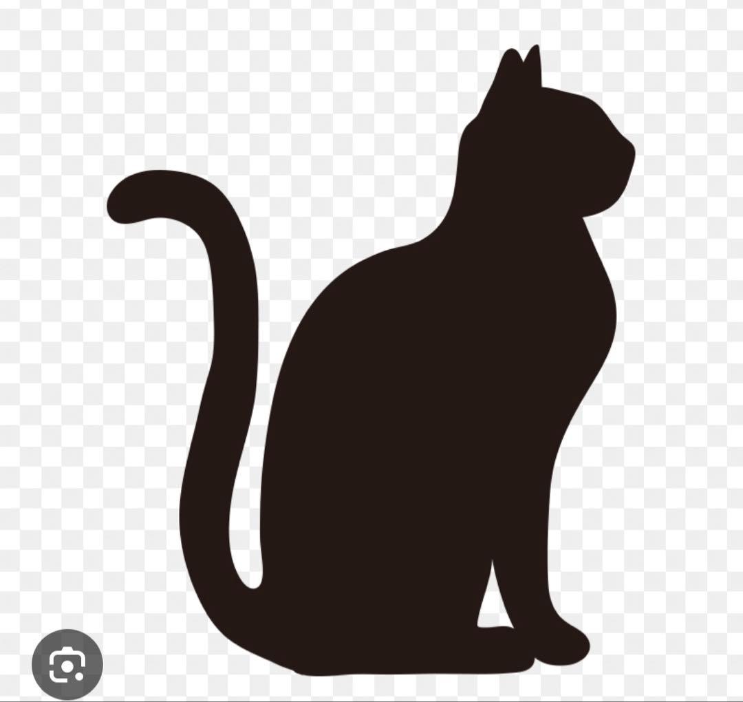 ネコ、犬シルエット　ミニ貝殻