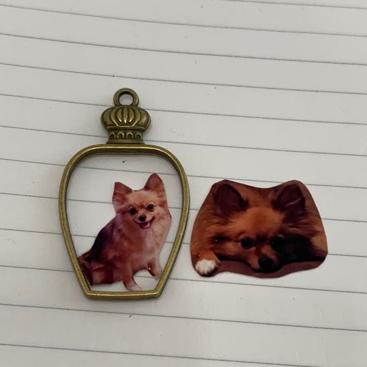 あんあん様ご確認用　レジンで写真チャーム　オーダー品