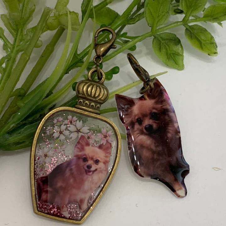 あんあん様ご確認用　レジンで写真チャーム　オーダー品